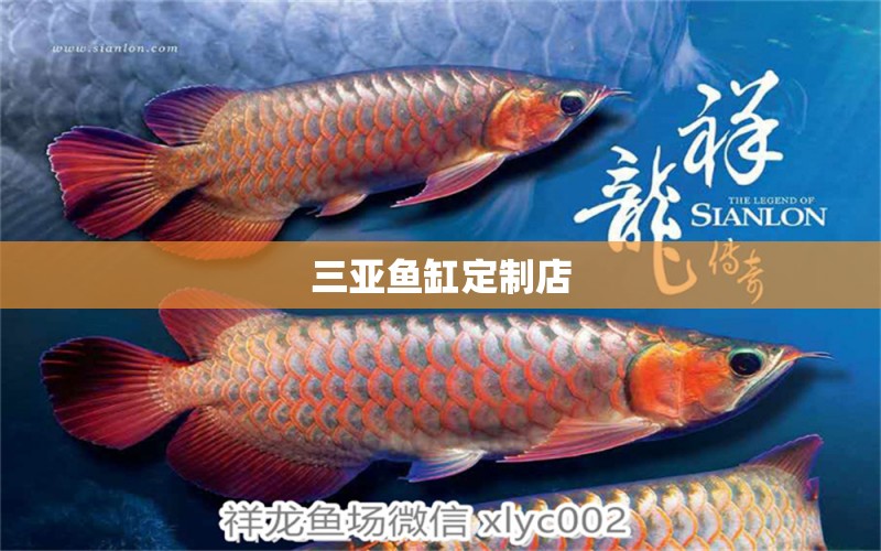 三亞魚缸定制店