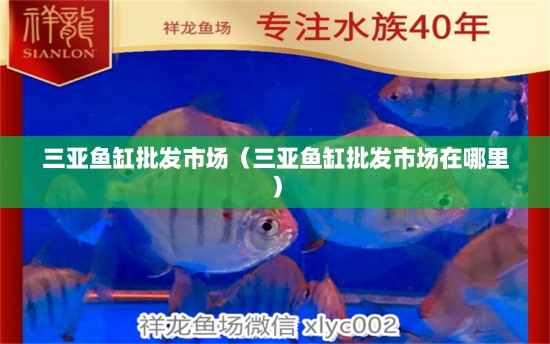 三亞魚缸批發(fā)市場（三亞魚缸批發(fā)市場在哪里） 觀賞魚水族批發(fā)市場