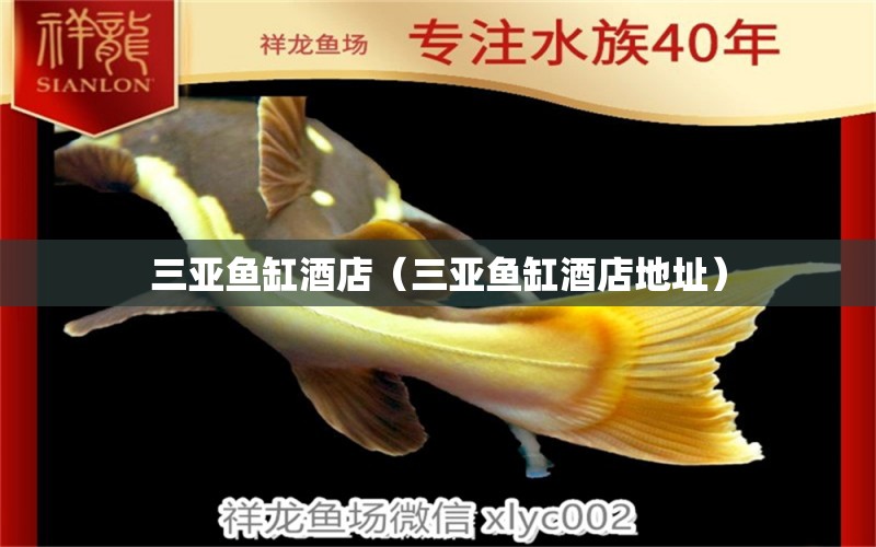 三亞魚(yú)缸酒店（三亞魚(yú)缸酒店地址） 其他品牌魚(yú)缸