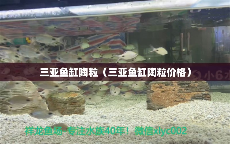 三亞魚缸陶粒（三亞魚缸陶粒價格）