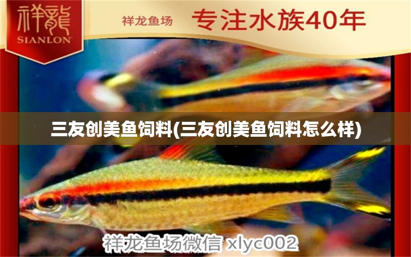 三友創(chuàng)美魚飼料(三友創(chuàng)美魚飼料怎么樣) 鐵甲武士