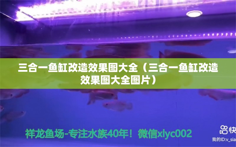 三合一魚缸改造效果圖大全（三合一魚缸改造效果圖大全圖片） 戰(zhàn)車紅龍魚