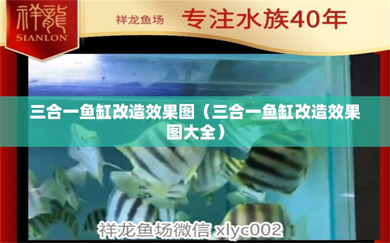 三合一魚缸改造效果圖（三合一魚缸改造效果圖大全）