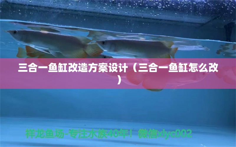 三合一魚缸改造方案設(shè)計(jì)（三合一魚缸怎么改） 大白鯊魚