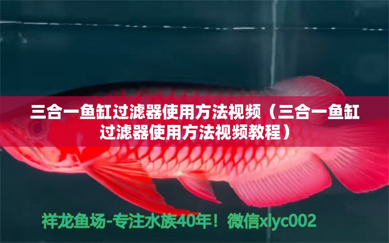 三合一魚缸過(guò)濾器使用方法視頻（三合一魚缸過(guò)濾器使用方法視頻教程）