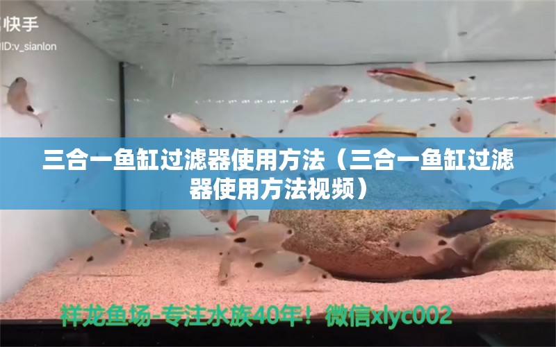 三合一魚缸過(guò)濾器使用方法（三合一魚缸過(guò)濾器使用方法視頻） 七彩神仙魚