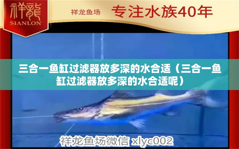 三合一魚缸過(guò)濾器放多深的水合適（三合一魚缸過(guò)濾器放多深的水合適呢）