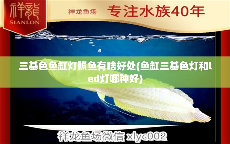 三基色魚(yú)缸燈照魚(yú)有啥好處(魚(yú)缸三基色燈和led燈哪種好) 名貴錦鯉魚(yú)