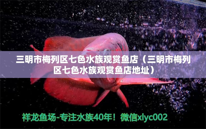 三明市梅列區(qū)七色水族觀賞魚店（三明市梅列區(qū)七色水族觀賞魚店地址） 全國水族館企業(yè)名錄