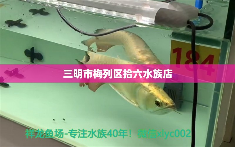 三明市梅列區(qū)拾六水族店 全國(guó)水族館企業(yè)名錄