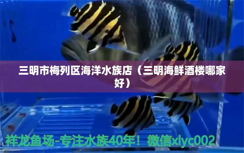 三明市梅列區(qū)海洋水族店（三明海鮮酒樓哪家好）