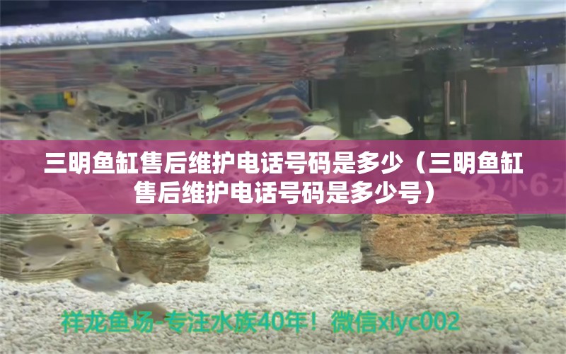 三明魚缸售后維護電話號碼是多少（三明魚缸售后維護電話號碼是多少號）