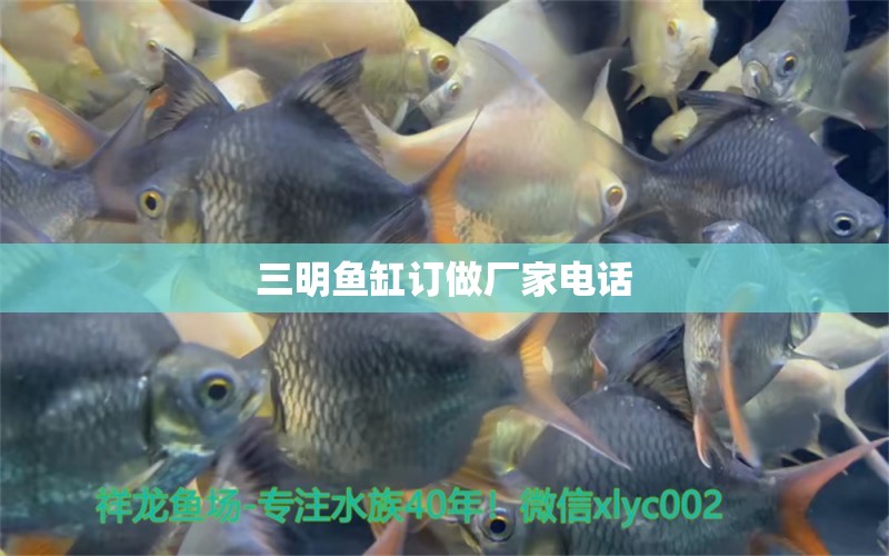 三明魚缸訂做廠家電話