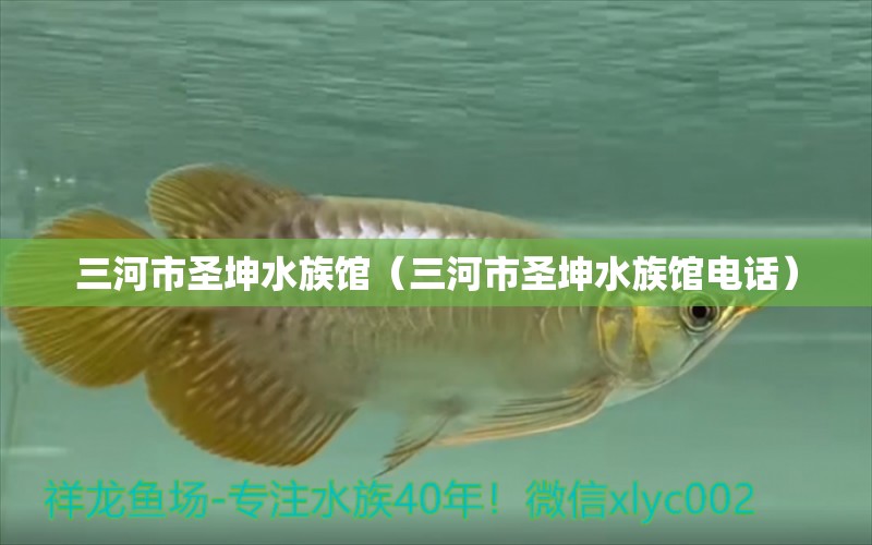 三河市圣坤水族館（三河市圣坤水族館電話） 全國(guó)水族館企業(yè)名錄