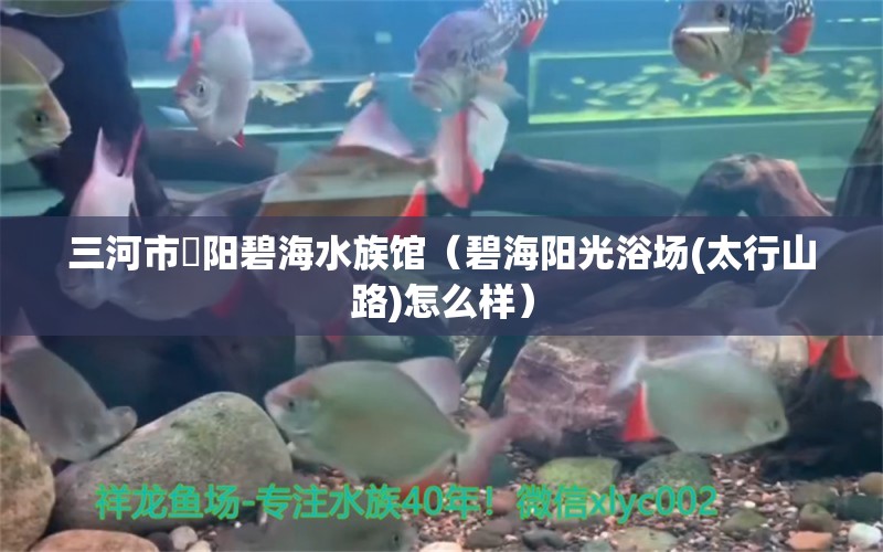 三河市泃陽(yáng)碧海水族館（碧海陽(yáng)光浴場(chǎng)(太行山路)怎么樣）