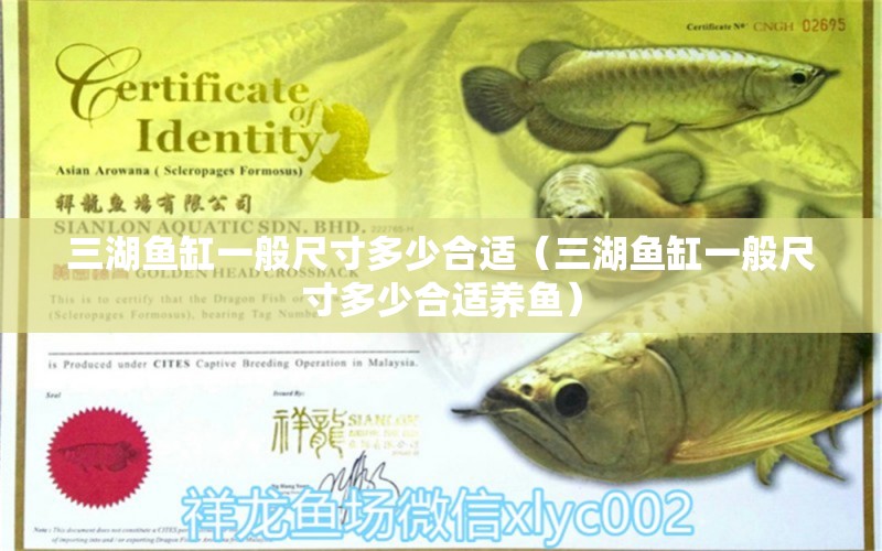 三湖魚缸一般尺寸多少合適（三湖魚缸一般尺寸多少合適養(yǎng)魚）