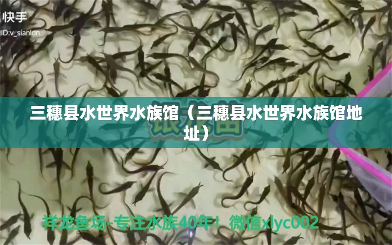 三穗縣水世界水族館（三穗縣水世界水族館地址） 全國水族館企業(yè)名錄