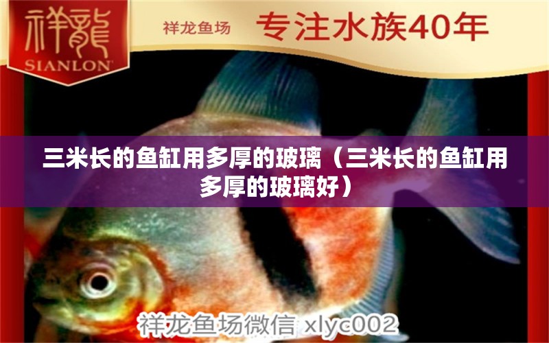 三米長的魚缸用多厚的玻璃（三米長的魚缸用多厚的玻璃好）