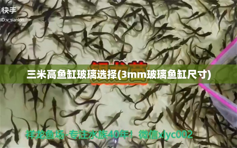 三米高魚缸玻璃選擇(3mm玻璃魚缸尺寸)