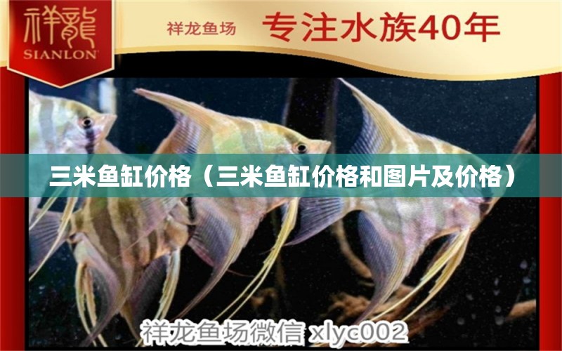 三米魚缸價格（三米魚缸價格和圖片及價格） 魚缸百科