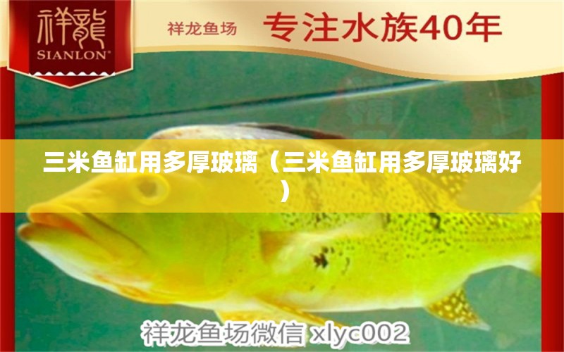 三米魚缸用多厚玻璃（三米魚缸用多厚玻璃好） 其他品牌魚缸