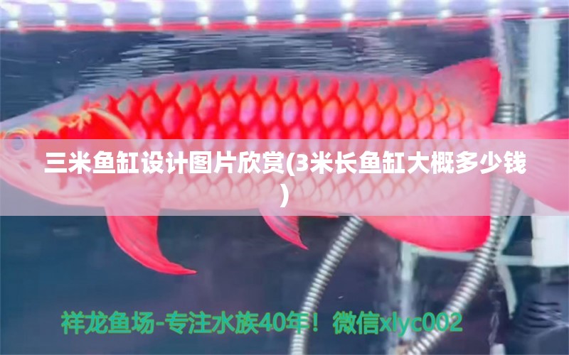 三米魚缸設(shè)計圖片欣賞(3米長魚缸大概多少錢)