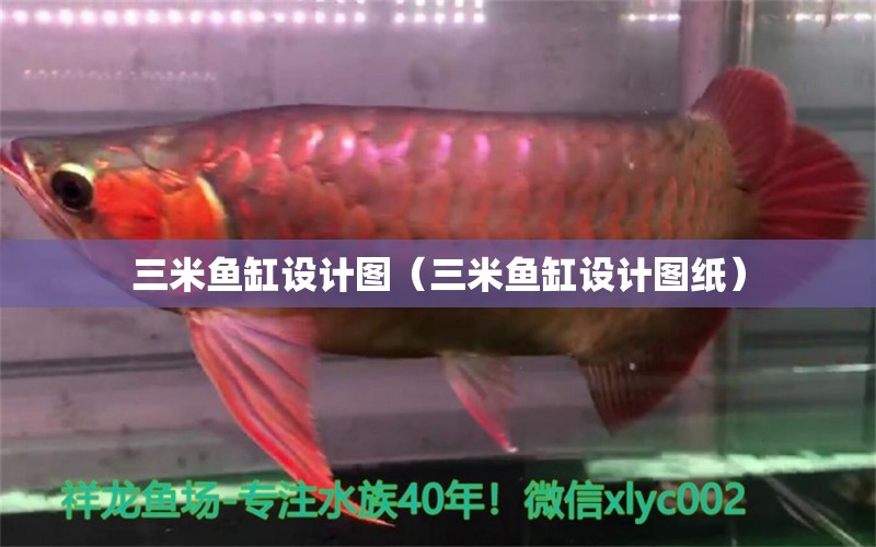 三米魚缸設(shè)計(jì)圖（三米魚缸設(shè)計(jì)圖紙）