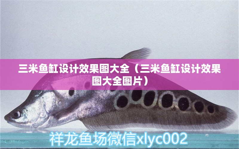 三米魚缸設(shè)計效果圖大全（三米魚缸設(shè)計效果圖大全圖片） 其他品牌魚缸