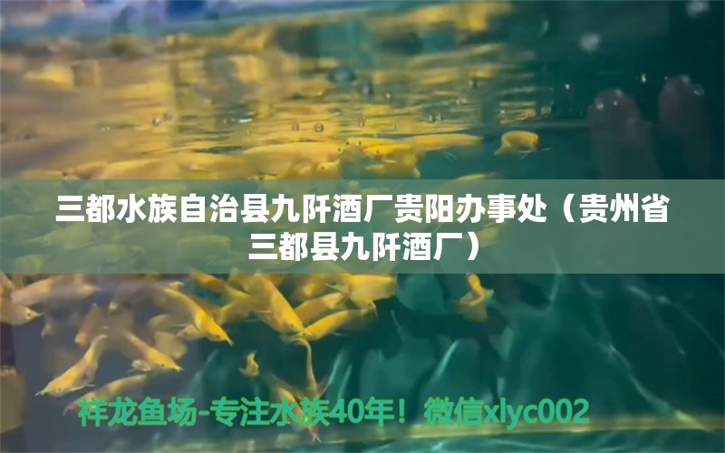 三都水族自治縣九阡酒廠貴陽辦事處（貴州省三都縣九阡酒廠）