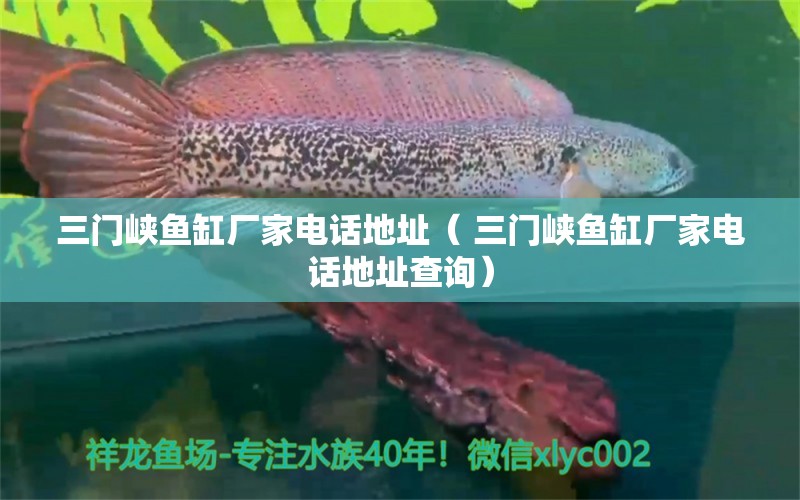 三門峽魚缸廠家電話地址（ 三門峽魚缸廠家電話地址查詢） 刀魚魚 第1張