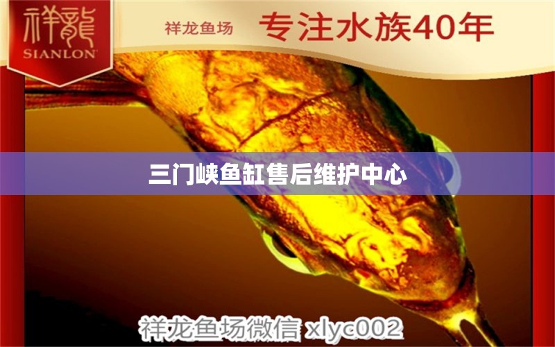 三門峽魚缸售后維護中心 其他品牌魚缸