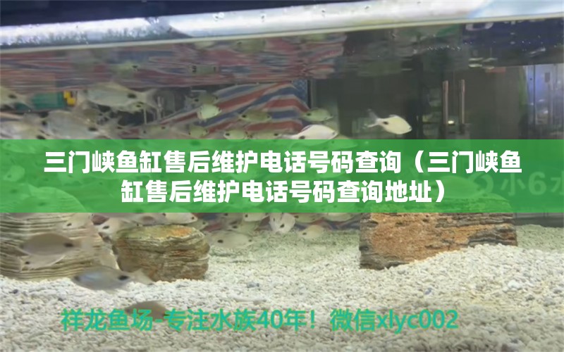 三門峽魚缸售后維護(hù)電話號(hào)碼查詢（三門峽魚缸售后維護(hù)電話號(hào)碼查詢地址） 其他品牌魚缸