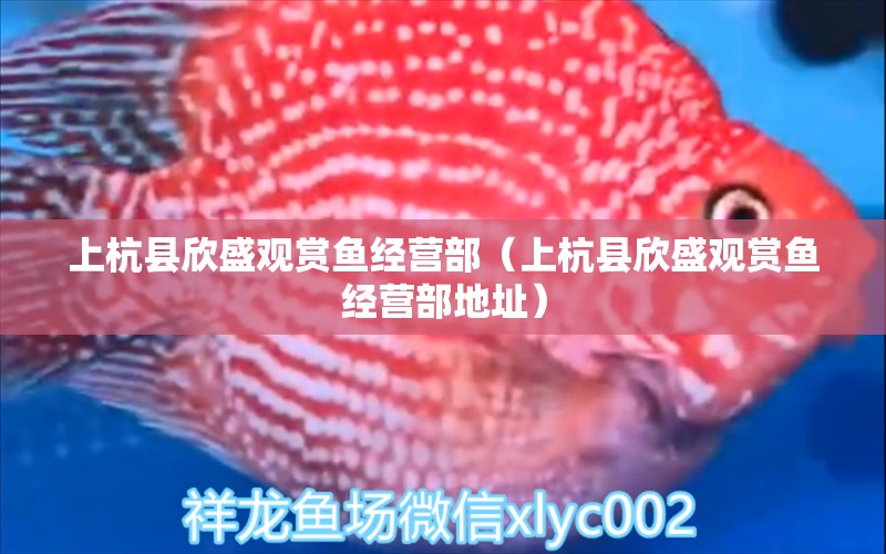 上杭縣欣盛觀賞魚(yú)經(jīng)營(yíng)部（上杭縣欣盛觀賞魚(yú)經(jīng)營(yíng)部地址）