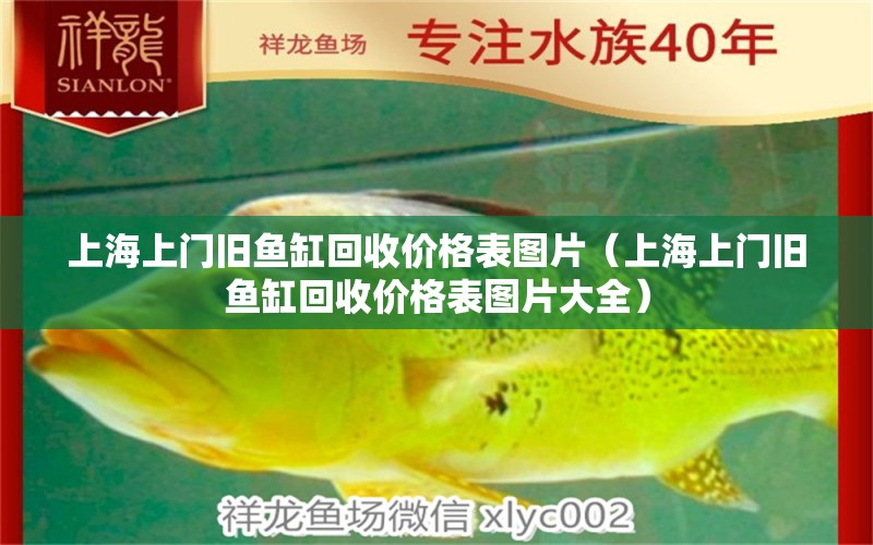 上海上門舊魚缸回收價格表圖片（上海上門舊魚缸回收價格表圖片大全） 生態(tài)瓶/創(chuàng)意缸/桌面微景缸