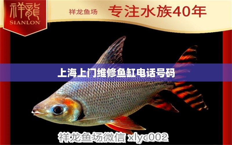 上海上門維修魚缸電話號(hào)碼 其他品牌魚缸