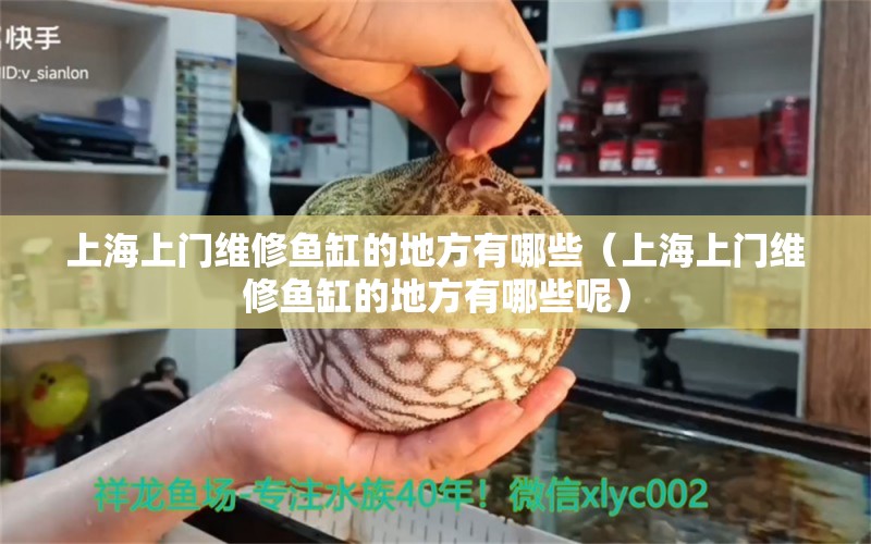 上海上門維修魚缸的地方有哪些（上海上門維修魚缸的地方有哪些呢）