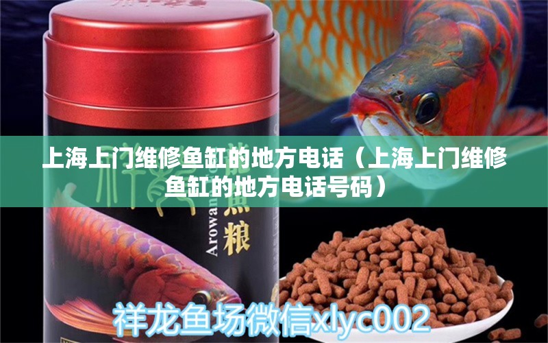 上海上門維修魚缸的地方電話（上海上門維修魚缸的地方電話號碼）