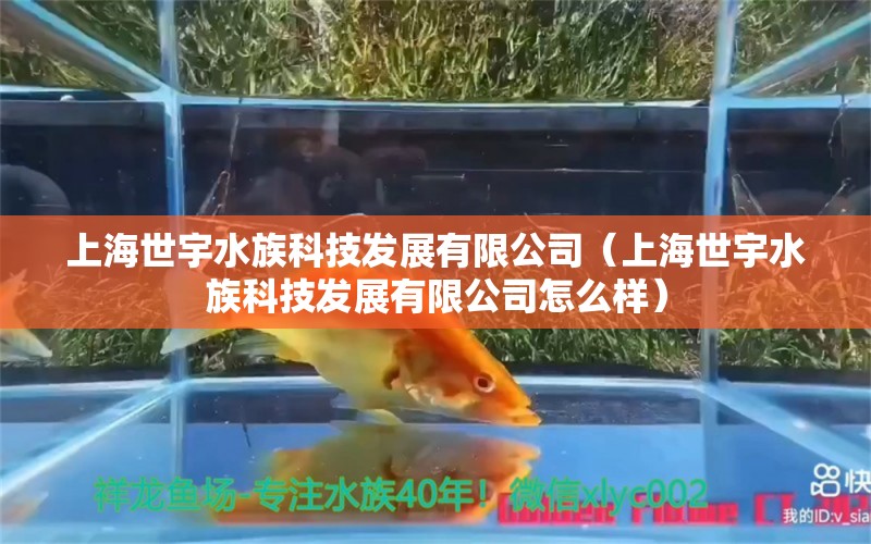 上海世宇水族科技發(fā)展有限公司（上海世宇水族科技發(fā)展有限公司怎么樣）