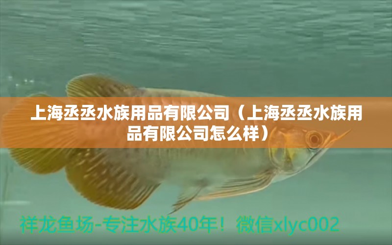 上海丞丞水族用品有限公司（上海丞丞水族用品有限公司怎么樣） 水族用品