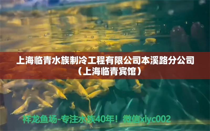 上海臨青水族制冷工程有限公司本溪路分公司（上海臨青賓館）