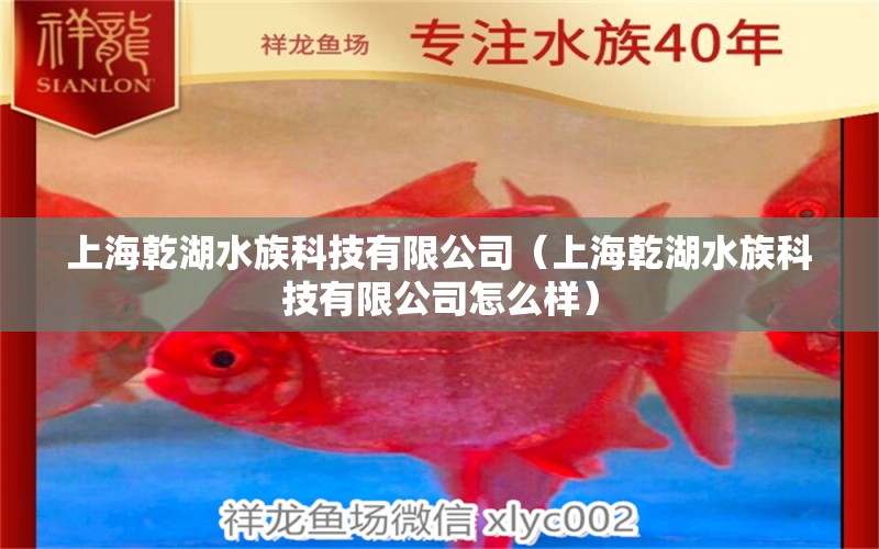 上海乾湖水族科技有限公司（上海乾湖水族科技有限公司怎么樣） 全國水族館企業(yè)名錄