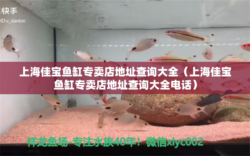 上海佳寶魚缸專賣店地址查詢大全（上海佳寶魚缸專賣店地址查詢大全電話） 祥龍水族醫(yī)院