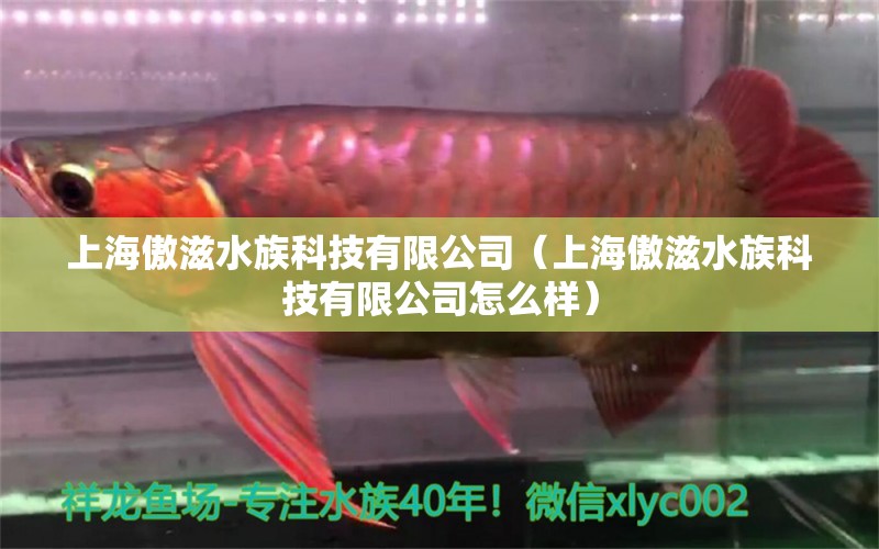 上海傲滋水族科技有限公司（上海傲滋水族科技有限公司怎么樣）