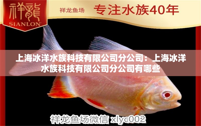 上海冰洋水族科技有限公司分公司：上海冰洋水族科技有限公司分公司有哪些 全國(guó)水族館企業(yè)名錄