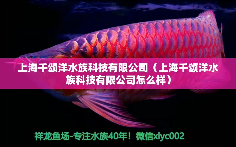 上海千頌洋水族科技有限公司（上海千頌洋水族科技有限公司怎么樣）