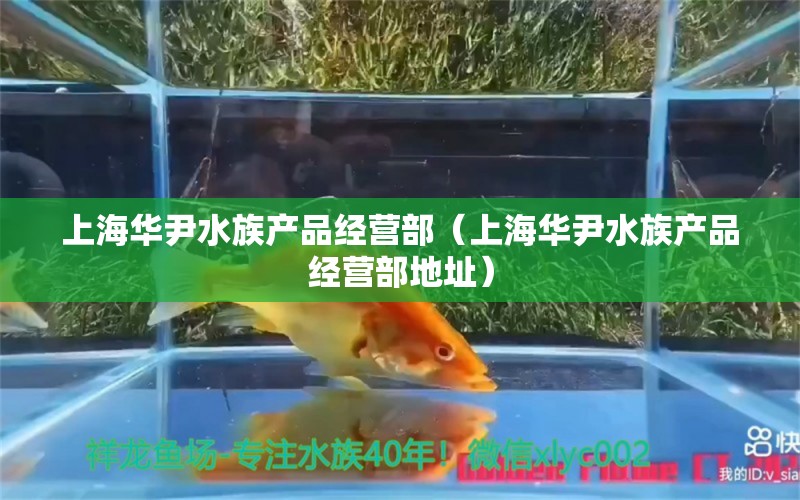 上海華尹水族產(chǎn)品經(jīng)營(yíng)部（上海華尹水族產(chǎn)品經(jīng)營(yíng)部地址）