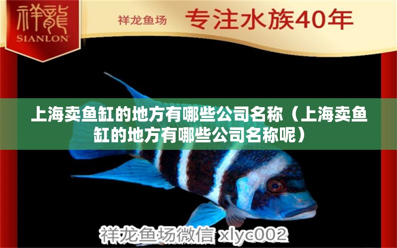 上海賣魚缸的地方有哪些公司名稱（上海賣魚缸的地方有哪些公司名稱呢）