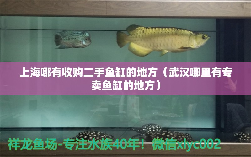 上海哪有收購二手魚缸的地方（武漢哪里有專賣魚缸的地方） 金三間魚 第2張