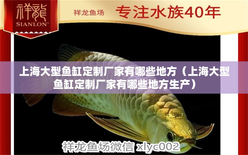 上海大型魚缸定制廠家有哪些地方（上海大型魚缸定制廠家有哪些地方生產(chǎn)）