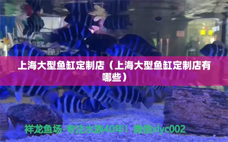 上海大型魚缸定制店（上海大型魚缸定制店有哪些）